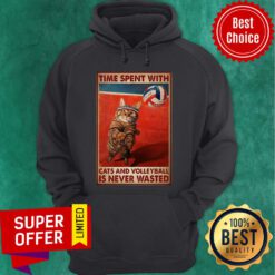 Nice Time Spent With Cats And Volleyball Is Never Wasted Hoodie