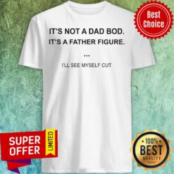 Official It's Not A Dad Bod It's A Father Figure I'll See Myself Cut Shirt