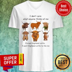Top Goat I Don't Care What Anyone Thinks Of Me Except Highland Cattle I Want Highland Cattle To Like Me V-neck