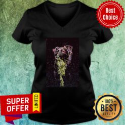 Awesome Border Collie Color Paint Vertical Poster V-neck