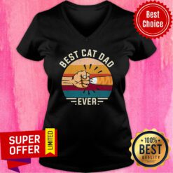 Funny Best Cat Dad Ever Vintage V-neck