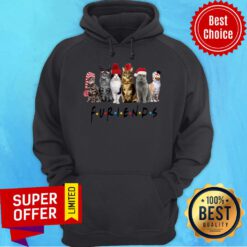 Good Cats Santa Furiends Christmas Hoodie