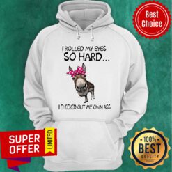 Nice I Rolled My Eyes So hard I Checked Out My Own Ass Hoodie