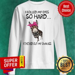 Nice I Rolled My Eyes So hard I Checked Out My Own Ass Sweatshirt