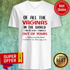 Of All The Vaginas In The World I Am So Glad I Tumbled Out Of Yours V-neck