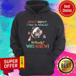 Sloth Wait What I Have An Attitude No Really Who Knew Hoodie