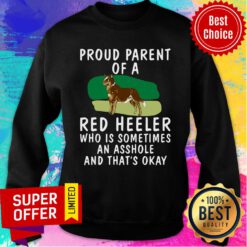 Awesome Proud Parent Of A Red Heeler Dog Sweatshirt