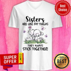 Elephent Sisters Are Like Fat Thighs They Always Stick Together V-neck