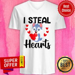 Funny Cat I Steal Hearts V-neck