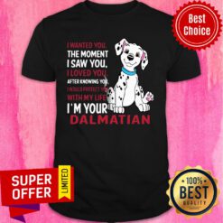 Funny I Wanted You The Moment I Saw You I Loved You After Knowing Dalmatian Shirt