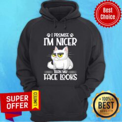 Nice Cat I Promise I'm Nicer Than My Face Looks Hoodie