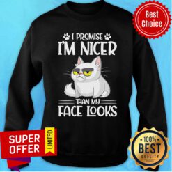 Nice Cat I Promise I'm Nicer Than My Face Looks Sweatshirt