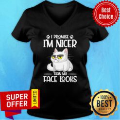 Nice Cat I Promise I'm Nicer Than My Face Looks V-neck