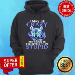Nice I May Be Crazy But Crazy Is Far Better Than Stupid Hoodie