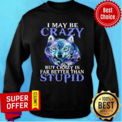 Nice I May Be Crazy But Crazy Is Far Better Than Stupid Sweatshirt
