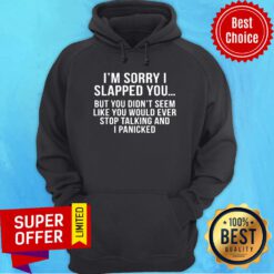 Sorry I Slapped You But You DIdn't Seem Like You Would Ever Stop Talking And I Panicked Hoodie