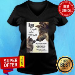 Top Never Forget Who You Are You Are Braver Than You Believe V-neck