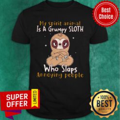 Awesome My Spirit Animal Is A Grumpy Sloth Who Slaps Annoying People Shirt