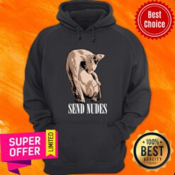 Funny Sphynx Hairless Cat Send Nudes Hoodie
