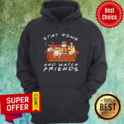 Funny Stay Home And Watch Friends Hoodie