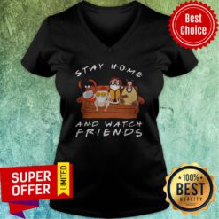 Funny Stay Home And Watch Friends V-neck