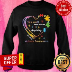 In A World Where You Can Be Anything Be Kind Autism Awaren Sweatshirt