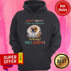 Nice Pomeranian Wait What I Have An Attitude No Really Who Knew Hoodie