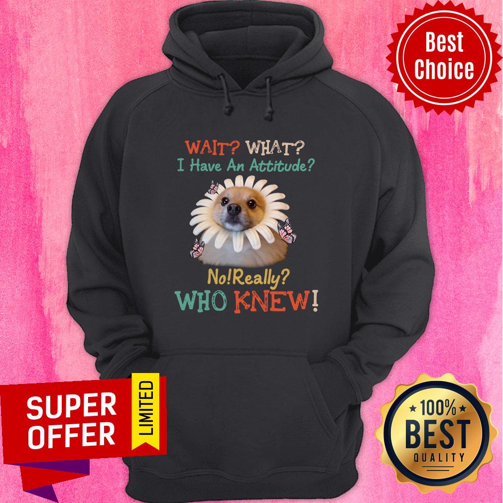 Nice Pomeranian Wait What I Have An Attitude No Really Who Knew Hoodie Nice Pomeranian Wait What I Have An Attitude No Really Who Knew Hoodie