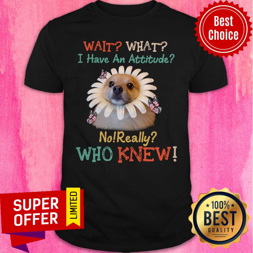 Nice Pomeranian Wait What I Have An Attitude No Really Who Knew Shirt Nice Pomeranian Wait What I Have An Attitude No Really Who Knew Shirt