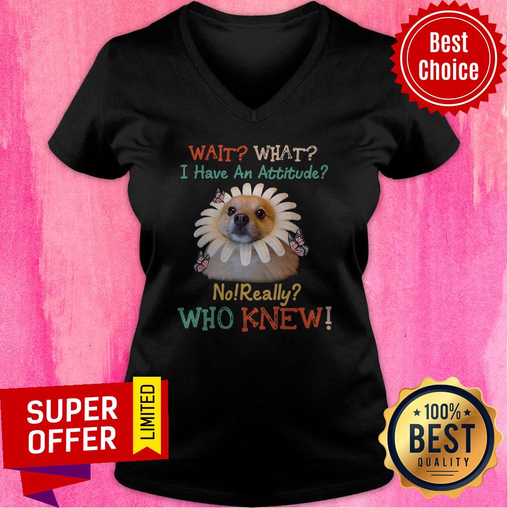 Nice Pomeranian Wait What I Have An Attitude No Really Who Knew V-neck Nice Pomeranian Wait What I Have An Attitude No Really Who Knew V-neck