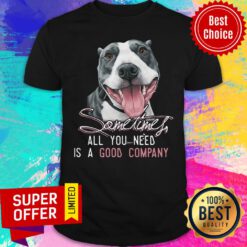 Pit-bull Sometimes All You Need Is A Good Company Shirt