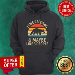 Vintage Retro I Like Raccoons And Maybe Like 3 People Hoodie