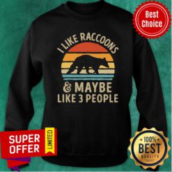 Vintage Retro I Like Raccoons And Maybe Like 3 People Sweatshirt