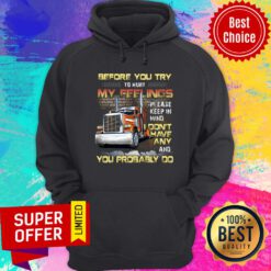 Before You Try To Hurt My Feelings Don't Have Any You Probably Do Hoodie