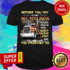 Before You Try To Hurt My Feelings Don't Have Any You Probably Do Shirt