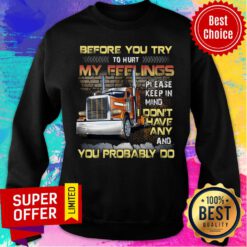 Before You Try To Hurt My Feelings Don't Have Any You Probably Do Sweatshirt