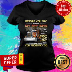 Before You Try To Hurt My Feelings Don't Have Any You Probably Do V-neck