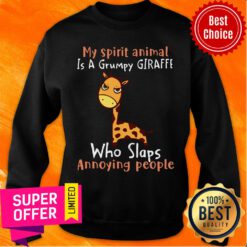 My Spirit Animal Is A Grumpy Giraffe Who Slaps Annoying People Sweatshirt