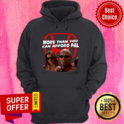 Nice More Than You Can Afford Pal Hoodie