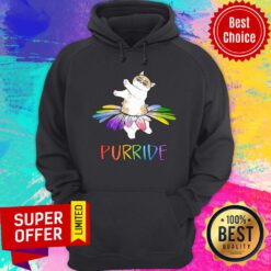Premium Purride LGBT Hoodie