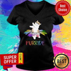 Premium Purride LGBT V-neck