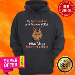 Spirit Animal Is A Grumpy Horse Who Slaps Annoying People Hoodie