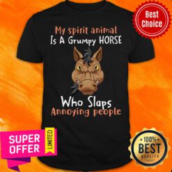 Spirit Animal Is A Grumpy Horse Who Slaps Annoying People Shirt