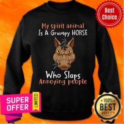 Spirit Animal Is A Grumpy Horse Who Slaps Annoying People Sweatshirt