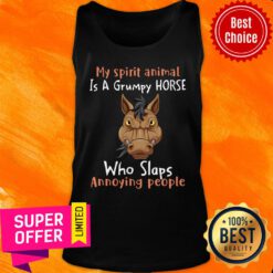 Spirit Animal Is A Grumpy Horse Who Slaps Annoying People Tank top