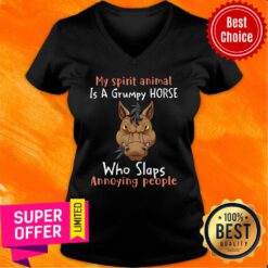Spirit Animal Is A Grumpy Horse Who Slaps Annoying People V-neck
