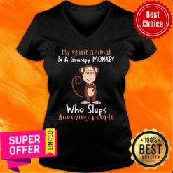 Top Spirit Animal Is A Grumpy Monkey Who Slaps Annoying People V-neck