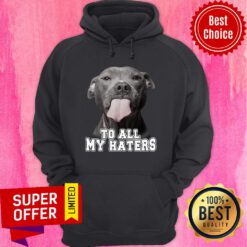 Bleble Pitbull To All My Haters Hoodie