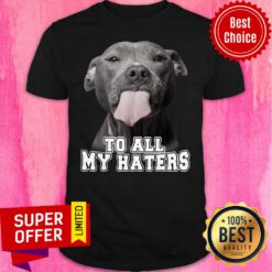 Bleble Pitbull To All My Haters Shirt