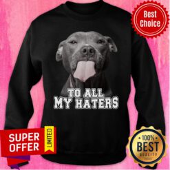 Bleble Pitbull To All My Haters Sweatshirt